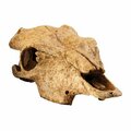 Exo Terra Exo-Terra Terrarium Decor, Buffalo Skull A134